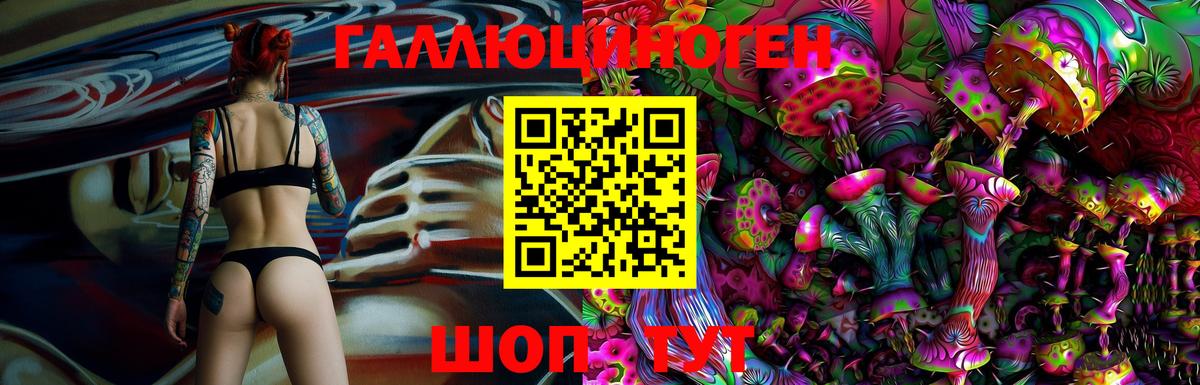 Красноармейск  Псилоцибиновые грибы Psilocybe  закладка  Вход с VPN 